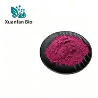 Groothandel Voedingsmiddelenkwaliteit Natuurlijk Gesprayd Gedroogd Rood Pitaya Poeder Bulk Dragon Fruit Poeder Trommel voor Drankjes Bakken Supplement Cosmetica