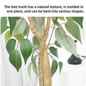 ต้นไม้ต้นไทรขนาดเล็กที่สามารถถอดออกได้สำหรับตกแต่งบ้านห้างสรรพสินค้าร้านอาหารและโรงแรมขนาดใหญ่ - Product Image 5
