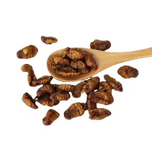 Pupas de gusano de seda secas de China de calidad garantizada para pupas de gusano de seda secas <span class=keywords><strong>Koi</strong></span> alimento para pájaros salvajes para alimentación - Product Image 1