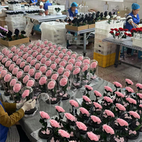 Campana de Cristal con Flor Preservada Personalizada, con Luz LED Cálida, Rosa Eterna, Regalo de Cumpleaños Pequeño y Lujoso para Venta al por Menor y Comercio Electrónico