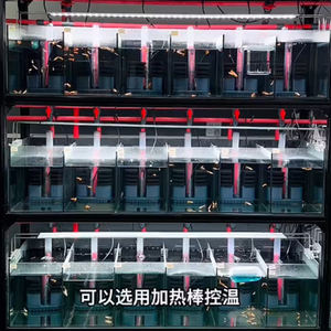 Vente en gros d'aquarium, moyen et petit aquarium en verre ultra blanc, aquarium pour l'aménagement paysager, aquarium pour l'aquaculture - Product Image 6