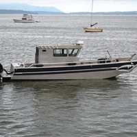 Pour Ecocampor solide aluminium péniche de débarquement Ferry bateau travail bateau navire à passagers hors-bord pour Cargo camion pelle pêche Sport