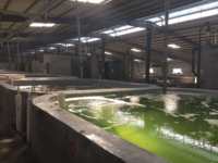 Générateur d'ozone industriel refroidi par air pour la traitement de l'eau et le système d'oxydation en aquaculture piscicole