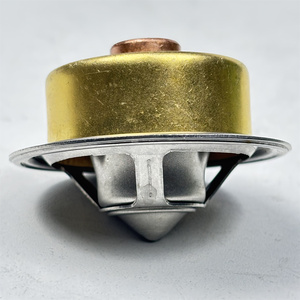 Termostato DZ120917 para Motor 4045 6068 6081 6090 - Product Image 2