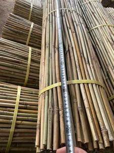 Varillas de Bambú Natural Tonkin de Diámetro Pequeño para Soporte de Plantas, Estacas para Viveros y Jardines, Venta al por Mayor Directa de Fábrica en Vietnam - Product Image 6