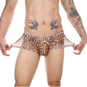 Lingerie respirante de style sexy pour hommes, caleçon taille basse en maille transparente à imprimé léopard en nylon/spandex - Product Image 1