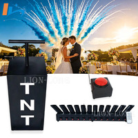 Système de tir de feux d'artifice TNT à télécommande, 12 canaux, en forme d'éventail, pour poudre Holi, baby shower, mariage, fête