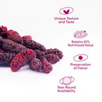 Private Label Natuurlijk Gedroogd Moerbeibes Fruit Zonder Toegevoegde Suiker, Groothandel FD Moerbeibes Fruit