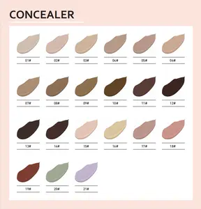 Liquid Concealer Private Label Full Coverage Concealer Long Lasting Waterproof Concealer