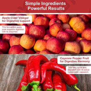 JBY OEM/ODM Marque Privée Capsules <span class=keywords><strong>de</strong></span> <span class=keywords><strong>Vinaigre</strong></span> <span class=keywords><strong>de</strong></span> <span class=keywords><strong>Cidre</strong></span> <span class=keywords><strong>de</strong></span> Pomme pour Mincir Complément Alimentaire pour le Métabolisme et la Perte <span class=keywords><strong>de</strong></span> Poids Vente en Gros - Product Image 5