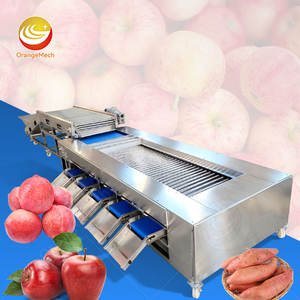 Machine de tri et de calibrage ORME pour pommes de terre, tomates, agrumes, petites pommes, fruits et dattes – Prix - Product Image 1