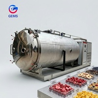 Vriesdroogmachines voor aardbeien, lyofilisatie, fruitvriesdroging, lyofilisatiemachine, fruitmachine, lyofilisator