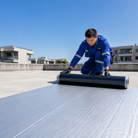 Membrana Impermeable Autoadhesiva de Betún Modificado SBS, Fabricada en China