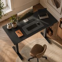 Bureau assis-debout électrique ergonomique en promotion, montage facile, structure en acier, avec contrôleur