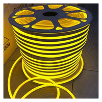 Bande lumineuse LED néon extérieure, blanc chaud, blanc froid, blanc pur, étanche, 1m découpable, rouleau de 100m, 8x16mm, AC220V