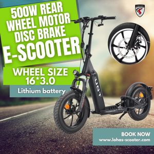 Entrepôt de l'UE 500w hors route scooter électrique 48v 13ah batterie amovible <span class=keywords><strong>grande</strong></span> <span class=keywords><strong>roue</strong></span> <span class=keywords><strong>tout</strong></span> <span class=keywords><strong>terrain</strong></span> scooter électrique - Product Image 6
