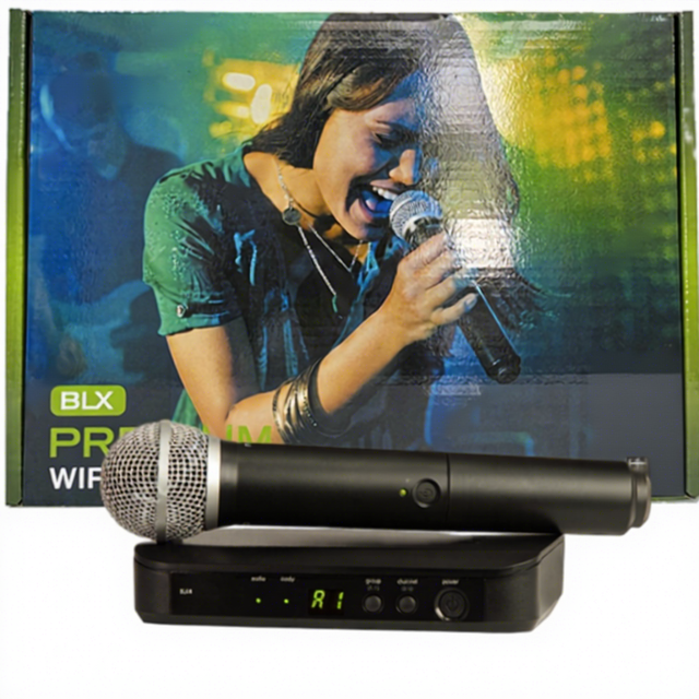 Performance UHF Dual Handheld Mic Karaoke Stage System Beta58 Beta57a PG58 BLX4 BLX4R BLX288 Wireless Microphone