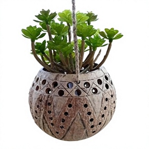 Maceta de cáscara de coco/maceta de cáscara de coco-buen precio y alta calidad - Product Image 1