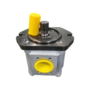 Bomba de aceite para máquina de moldeo por inyección Servo serie EIPC EIPC3-025RA23-10 EIPC3-040RA23-10 Bomba de engranajes hidráulica EIPC3 EIPC5 - Product Image 2