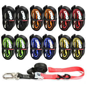 Sangles d'arrimage de moto à boucle à came de 38mm de large <span class=keywords><strong>avec</strong></span> logo personnalisé et <span class=keywords><strong>mousqueton</strong></span> pivotant pour le transport de motos - Product Image 3