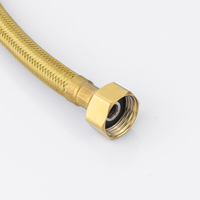 Tuyau de toilette flexible moderne en vente chaude, raccord en cuivre, doré, tube intérieur en PEX tressé en PET, tuyau de plomberie, garantie de 5 ans
