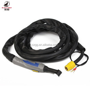 Sói đen Argon <span class=keywords><strong>Tig</strong></span> Hàn ngọn đuốc hàng tiêu dùng <span class=keywords><strong>Wp</strong></span> <span class=keywords><strong>26</strong></span> SR <span class=keywords><strong>26</strong></span> - Product Image 2