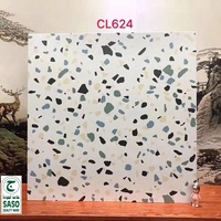 Vinci — carreaux de sol antidérapants, 600x600mm, de faible absorption d'eau, rustique, mat, pour jardin