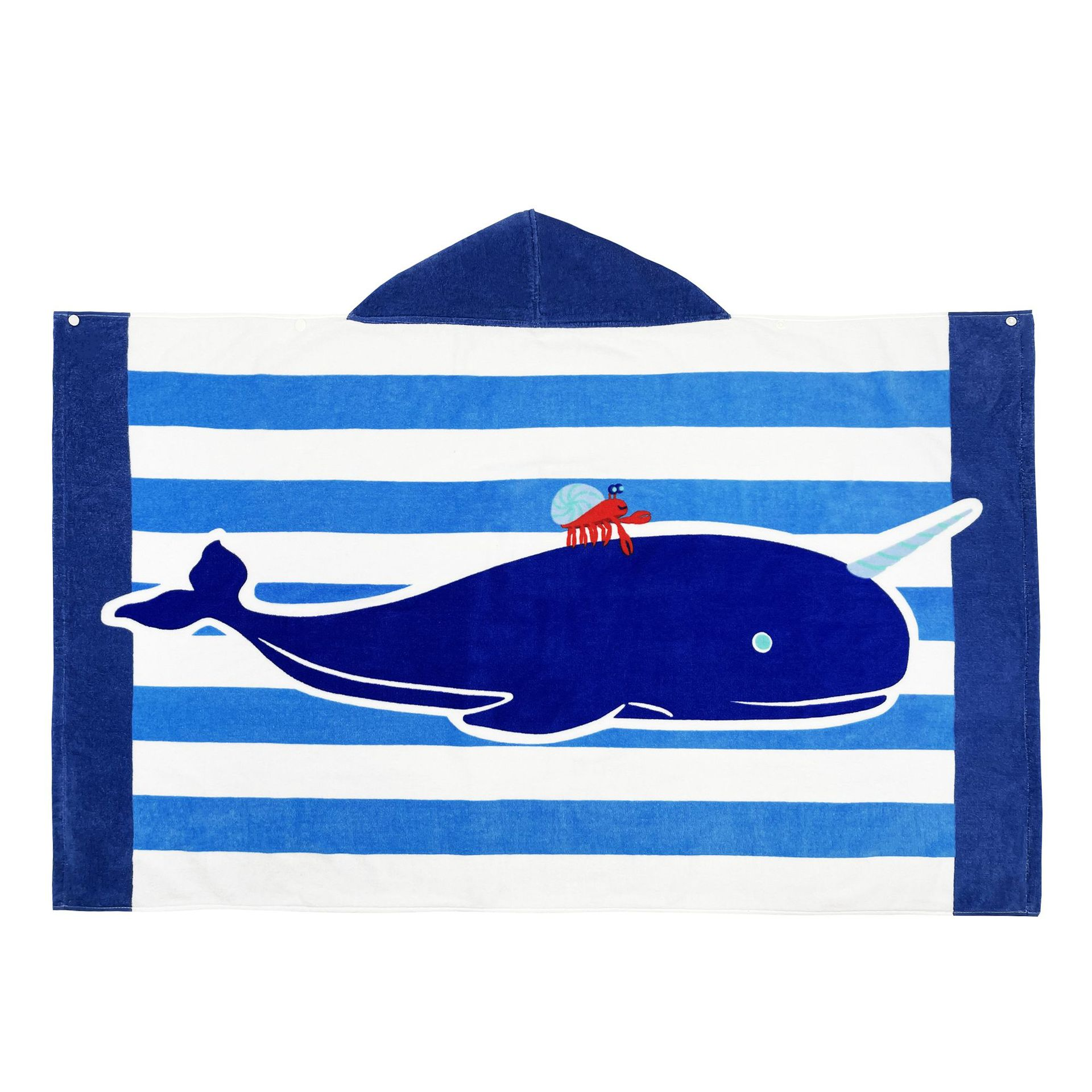 Blue striped whale