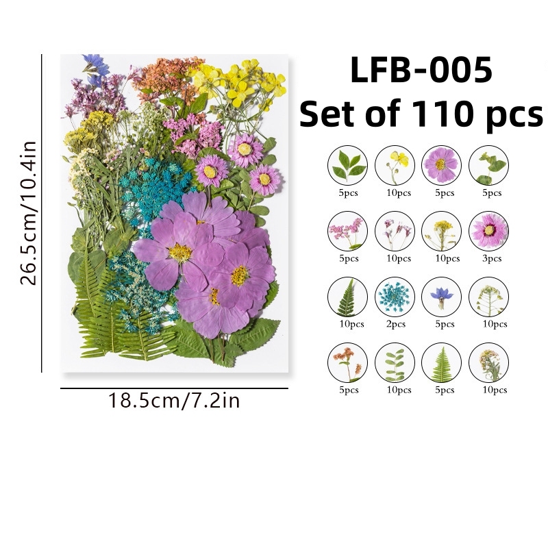 LFB-005