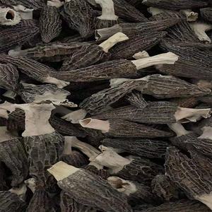 Moules en mohm noirs secs, 1-2 pouces, 2.5-5 cm, de haute qualité, pour le travail, à prix bas, promotion - Product Image 2