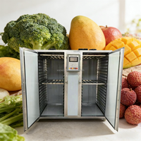 Équipement de séchage automatique des plateaux d'épices pour viande de bœuf, de porc et de poisson, machine de déshydratation des plateaux d'épices à la cannelle, au poivre et au thym