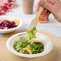 Ensemble de vaisselle jetable moderne en bambou avec infuseur à thé, biodégradable, compostable, résistant au micro-ondes et à la chaleur, couverts complets