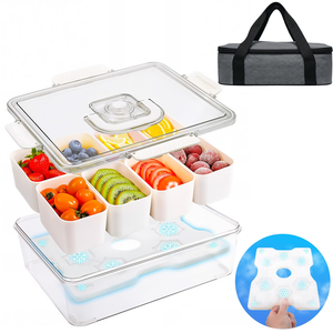 Portable Snackle <b>Box</b> Container with Ice Pack Divided Serving Tray Cooling Travel Snacklebox with Lid & Handle 8 Compartment - Product Image 1