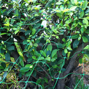 ตาข่ายรองรับต้นไม้โพลีเอสเตอร์ทนทาน - Product Image 1