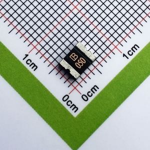 Whole Sale SMD2016B050TF 2016 Fuses Resettable Fuses PPTC 500mA -40-+85C 60V 20A - Product Image 1