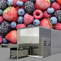 Lyophilisateurs tunnel de haute qualité pour fruits rouges et machines de congélation rapide, utilisés pour les bananes, les avocats et les mangues.