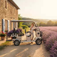 Quadricycle électrique Holladay à 4 roues, 800 W, 4+2 roues, chariot de golf ouvert, adapté aux vélos électriques urbains à 4 roues pour 6 personnes