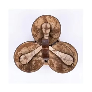 Ensemble de service artisanal en coquille de noix de coco, écologique et naturel, pour fruits secs, noix, épices et sauces - Product Image 1