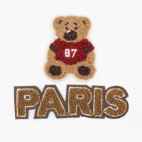 Écussons et Badges Brodés en Chenille à Lettres Personnalisées, Serviettes, et Patchs Tissés pour Vêtements à Thermocoller sur Tissu