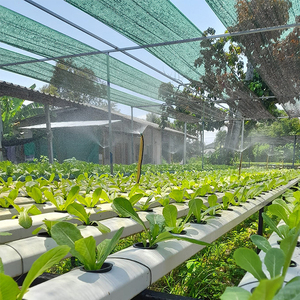 <span class=keywords><strong>Malla</strong></span> de <span class=keywords><strong>Sombra</strong></span> Verde Agrícola Resistente, Redes de Protección para Cultivos, <span class=keywords><strong>Malla</strong></span> de <span class=keywords><strong>Sombra</strong></span> para Invernaderos - Product Image 5