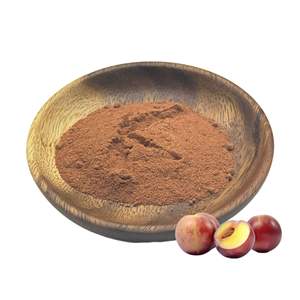 Klife оптом <span class=keywords><strong>Camu</strong></span> фруктовый порошок натуральный органический <span class=keywords><strong>Camu</strong></span> Фруктовый Порошок - Product Image 3