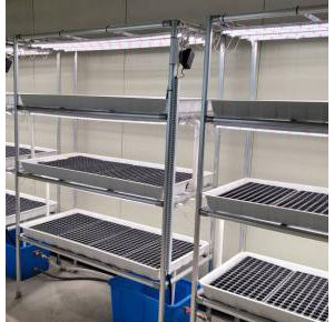 Banco de cultivo Bancos rodantes para <span class=keywords><strong>casa</strong></span> verde Bancos de cultivo rodantes - Product Image 5