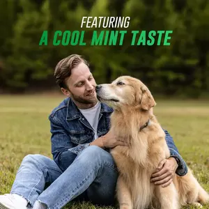 Kapsul Minyak Ikan OEM/ODM untuk Kecantikan Hewan Peliharaan, Lactoferrin untuk Mendukung Kekebalan Tubuh, Kesehatan Kulit dan Bulu - Terjamin Aman dan Cepat - Product Image 3