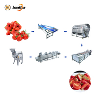 Professionele aardbeien-tomaat-groentesalade verwerkingslijn, industriële kwaliteit, hoog rendement saladeproductiesysteem