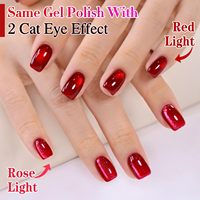 Vernis Gel Effet Œil de Chat Rouge Qualité Salon OEM, Marque Privée, Vente en Gros, SANS HEMA, 1kg en Vrac, Peinture à Ongles en Gel, Vernis à Ongles, Logo Personnalisé