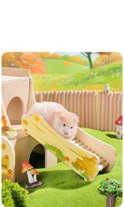Petit hamster <span class=keywords><strong>labyrinthe</strong></span> maison en bois maison toboggan amusant cabane à deux étages pour gerbille naine <span class=keywords><strong>souris</strong></span> <span class=keywords><strong>souris</strong></span> Rat petits animaux - Product Image 6
