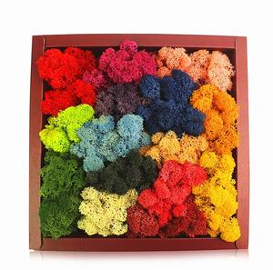 <span class=keywords><strong>Muschio</strong></span> Preservato a Lunga Durata 500G all'Ingrosso per Realizzare Pareti di <span class=keywords><strong>Muschio</strong></span> Stabilizzato <span class=keywords><strong>Artificiale</strong></span> per Decorazione - Product Image 2