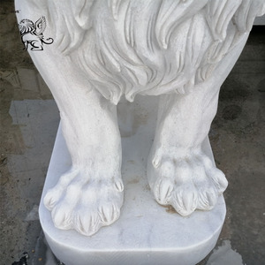 Hand Carved Western Style <strong>Life</strong> <strong>Size</strong> Garden Decoration White Marble <strong>Lion</strong> <strong>Statues</strong> for <strong>Sale</strong> - Product Image 4