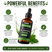 Complément alimentaire à la chlorophylle OEM, herbes naturelles, gouttes liquides orales pour favoriser la digestion, réduire les odeurs corporelles, soutenir la détoxification
