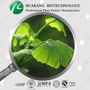 유기농 은행 나무 <span class=keywords><strong>biloba</strong></span> 추출물 24% 플라보노이드 은행나무 <span class=keywords><strong>biloba</strong></span> - Product Image 4